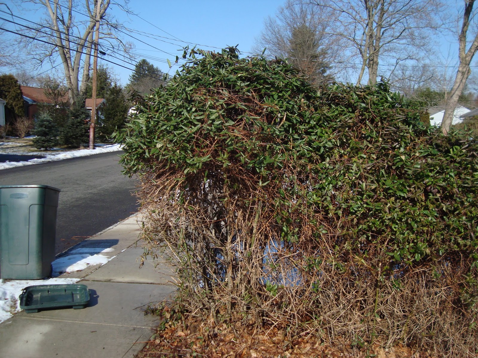 Gardening For Privacy