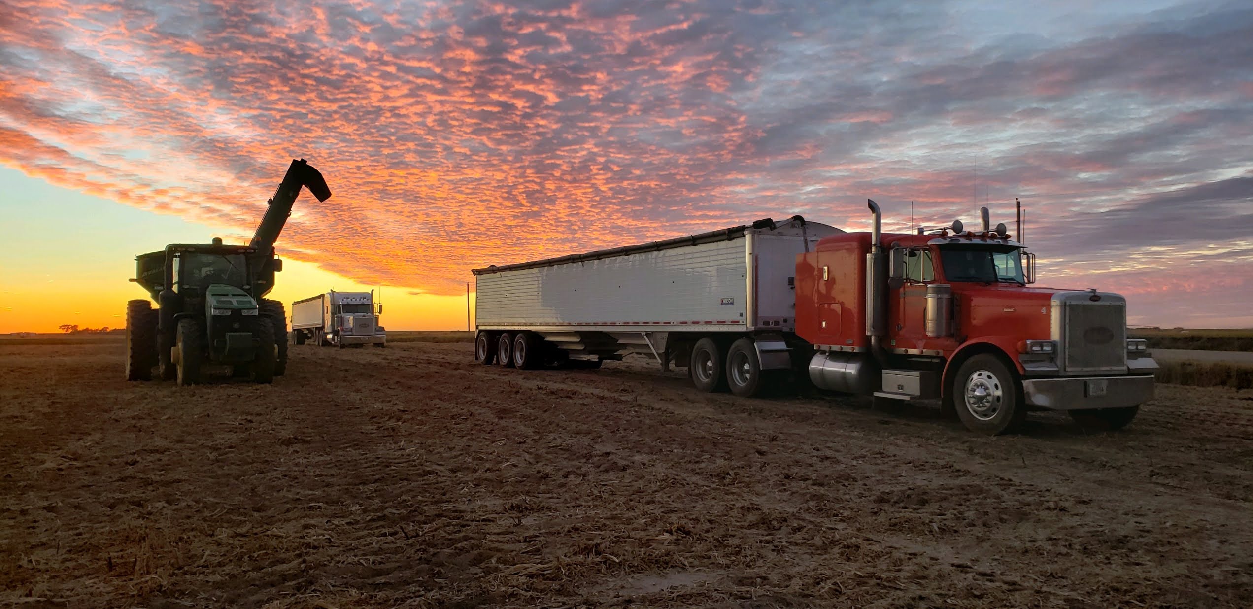 Schemper Harvesting Employment