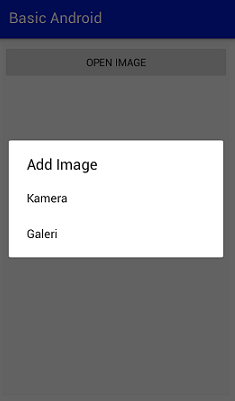 Screenshot_Menampilkan Gambar pada ImageView dengan EasyImage Example1 Screenshot_Menampilkan Gambar pada ImageView dengan EasyImage Example1