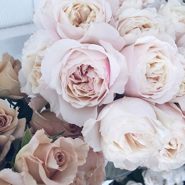 A Brand New Year & A Fresh Neutral Palette for Winter 2018