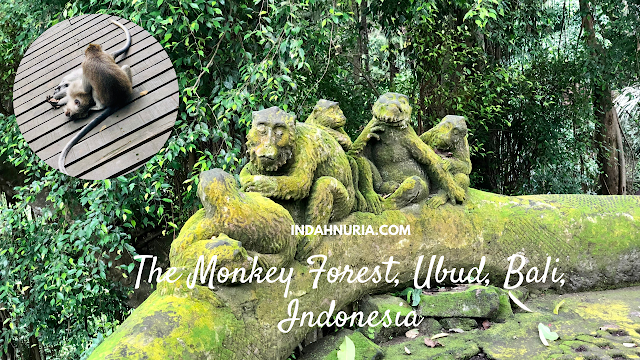 The Monkey Forest, Ubud, Bali, Indonesia