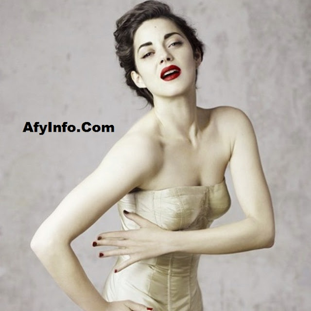 afyinfo.com afyinfo.com