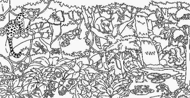 Free Coloring Pictures: Rainforest Coloring Pictures Free Coloring Pictures: Rainforest Coloring Pictures