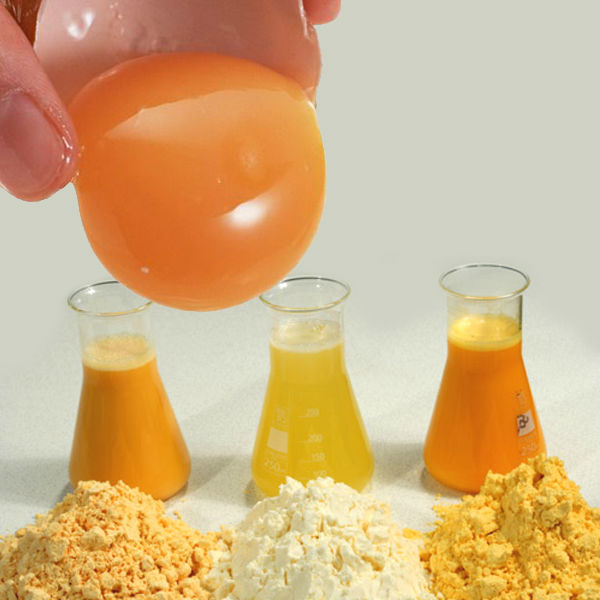 Natürlich Gesund Lecithin Powerstoff für die Zellen