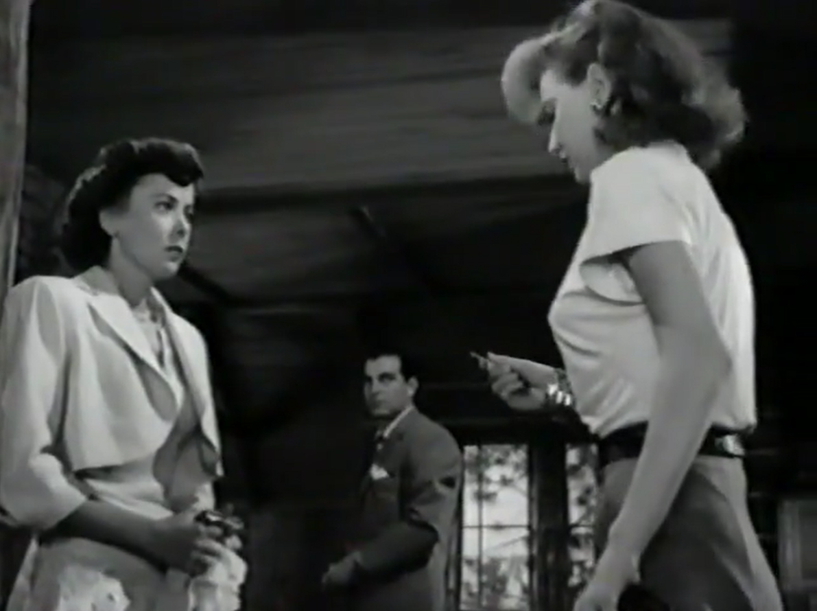 Woman in Hiding (1949) - Film Noir