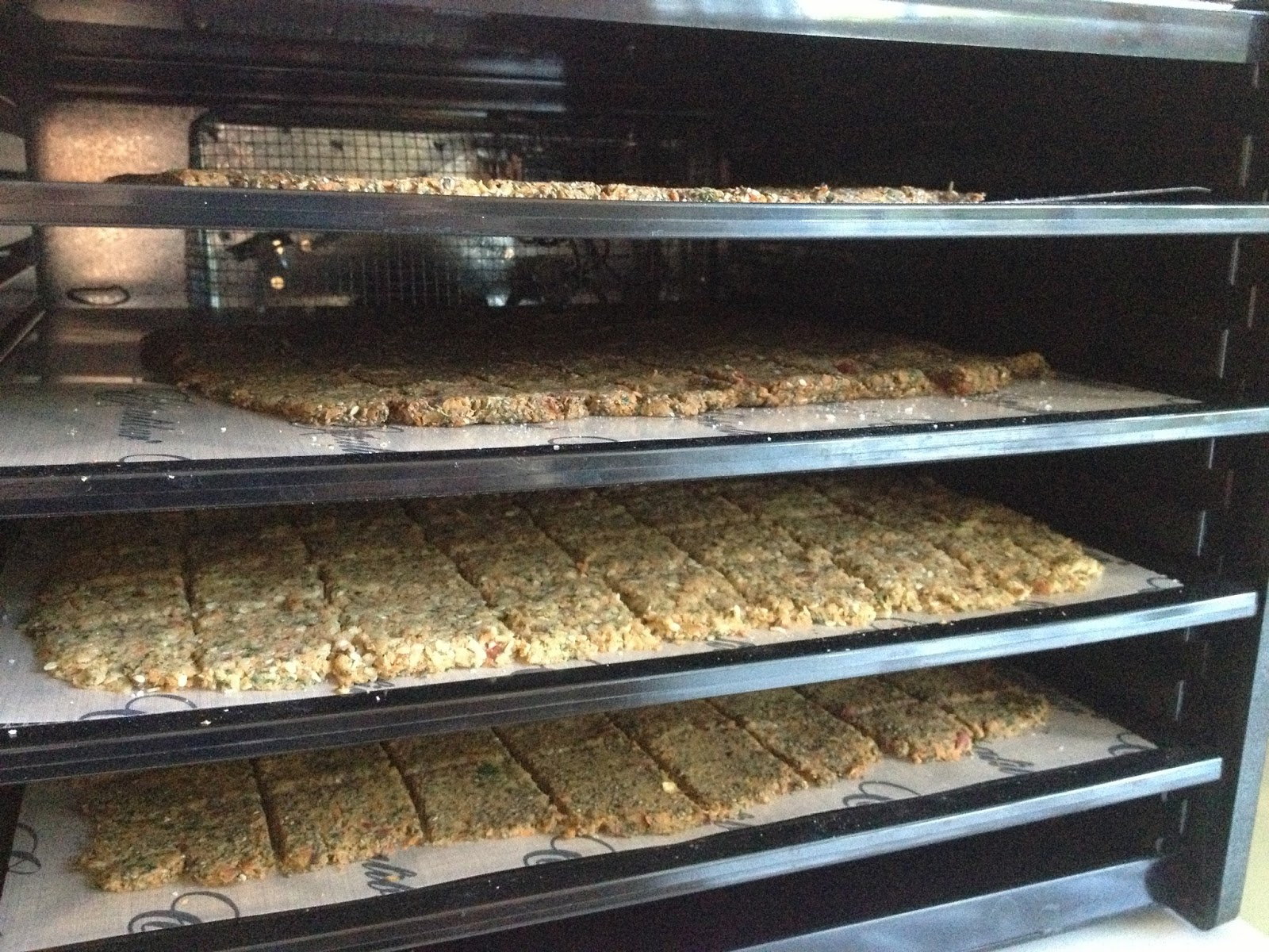 Martha of the Main Line Raw Juicer Pulp Crackers