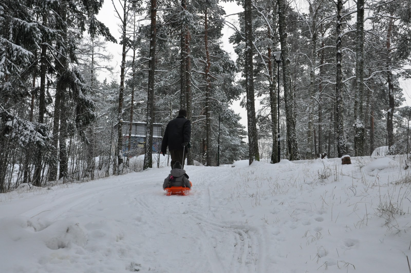 If It s Cold It s Helsinki January 2012