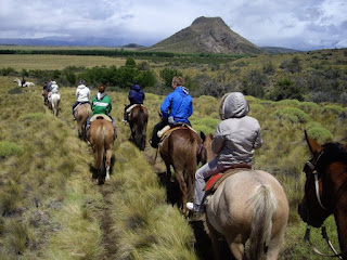 Los caballos que hoy vemos en la patagonia son el resultado de una mezcla de razas.