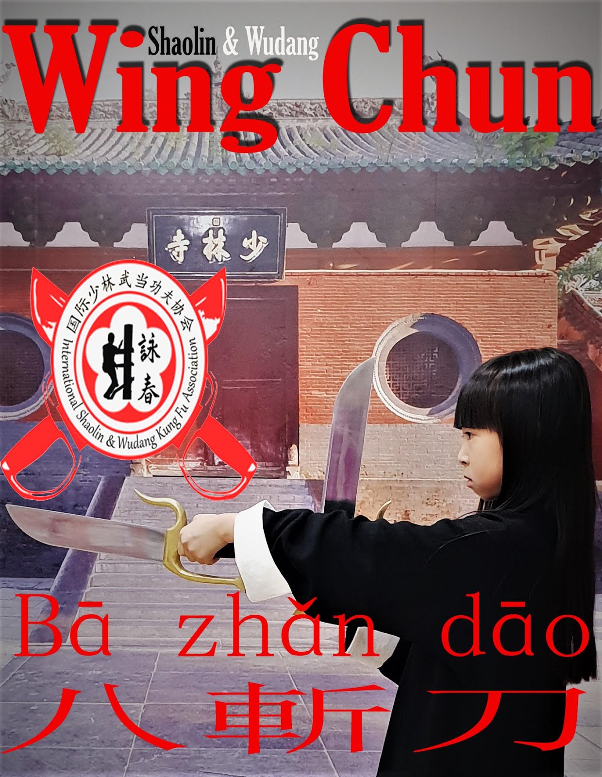 Clases y Cursos de Kung Fu Infantil, Niñas y Niños - Azuqueca de henares