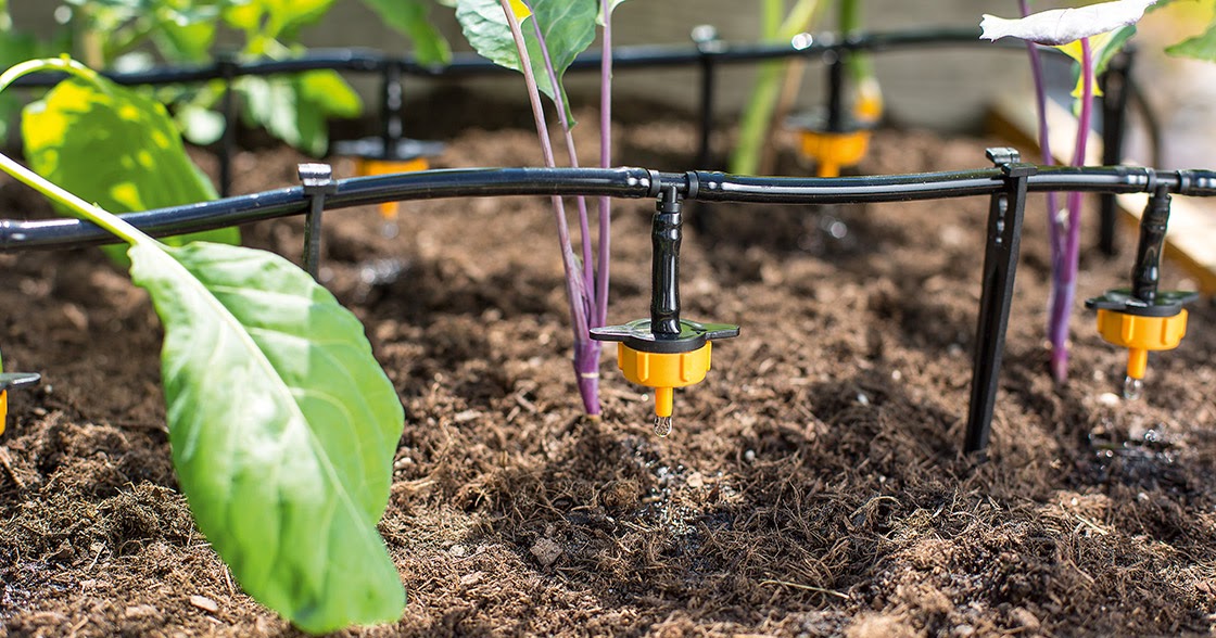 5 Types Of Irrigation Systems Irrigation