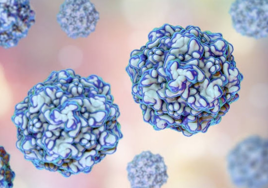 7 Danger Virus For Cats - PURWAFARM
