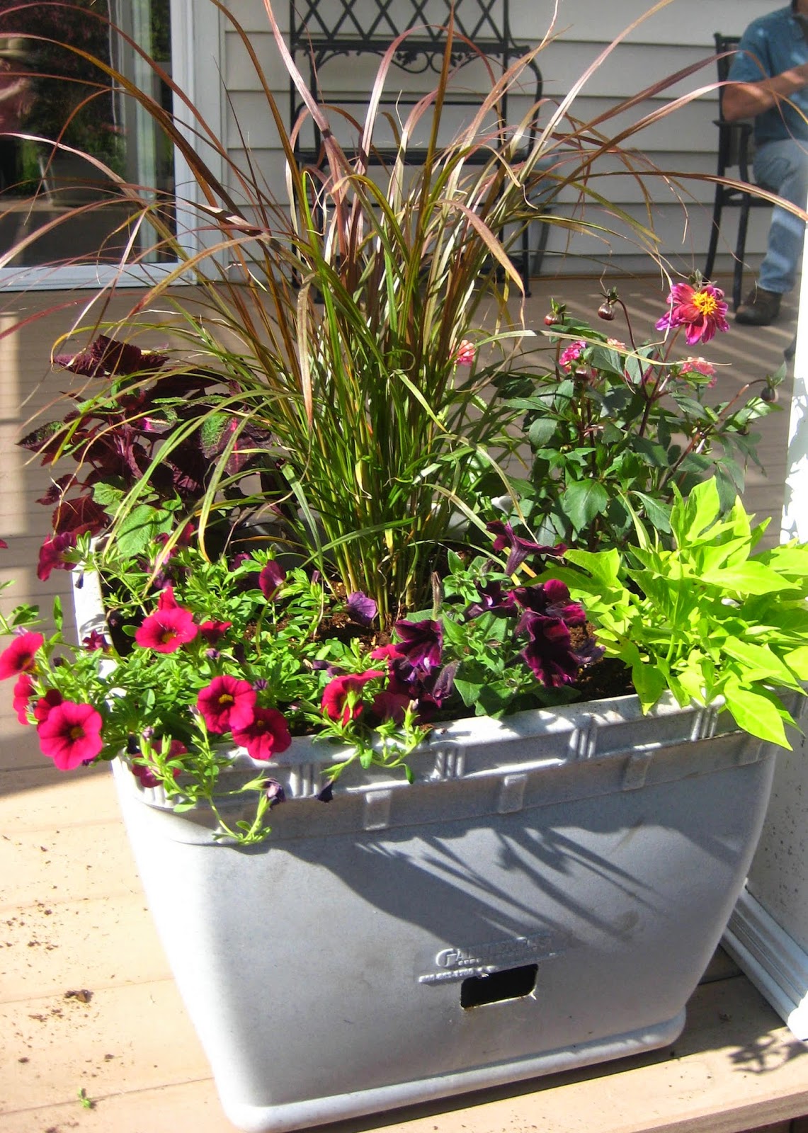Susan's In the Garden Planting containers