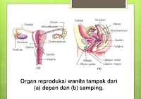 Makalah Askep Gastritis Makalah