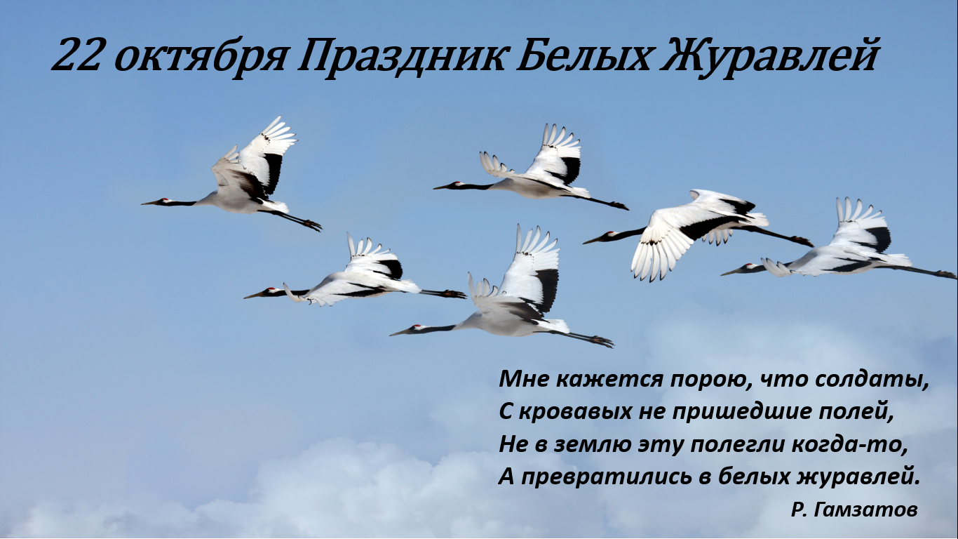https://1.bp.blogspot.com/-y8YlLyLoDWE/Xa6hniv6s5I/AAAAAAAADWI/gDil_dhk83IgiDNMDshspp2HL7TiASVygCLcBGAsYHQ/s1600/1.png