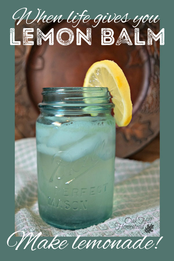 When Life Gives You Lemon Balm Make Lemonade! Oak Hill Homestead
