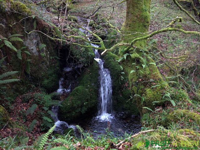 Caída de agua en el Río Valle, Piloña