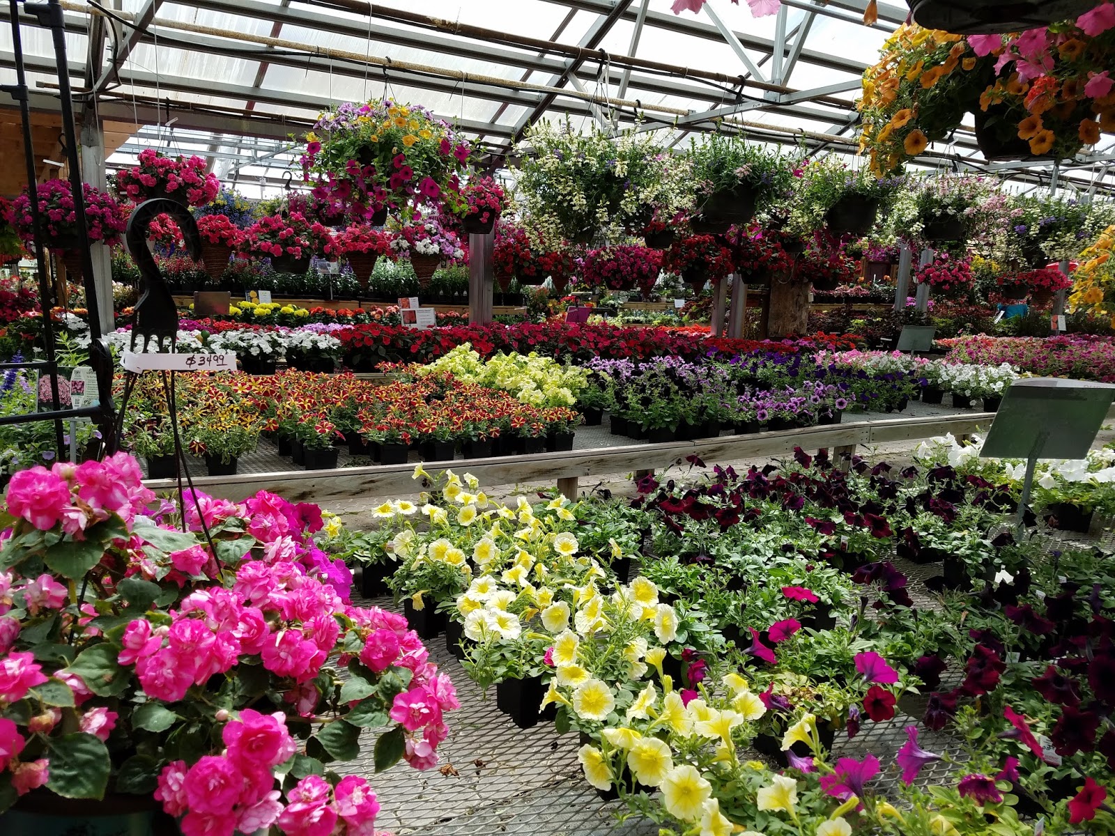 Life in Rice Lake, WI Greenhouse trip