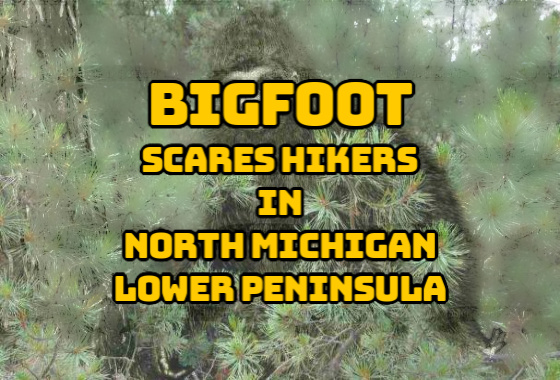 Bigfoot in North Michigan