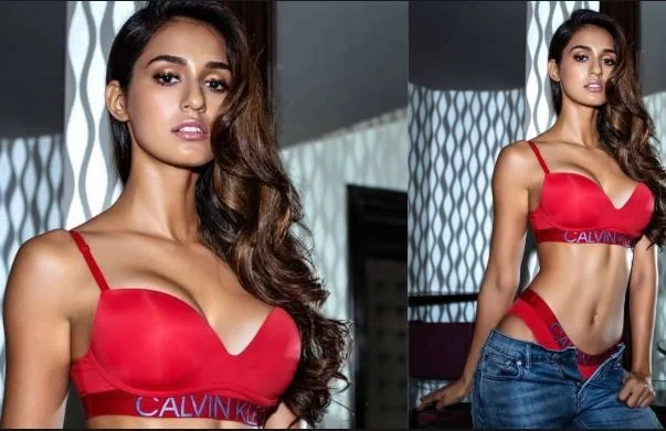 disha patani hot bikini pics