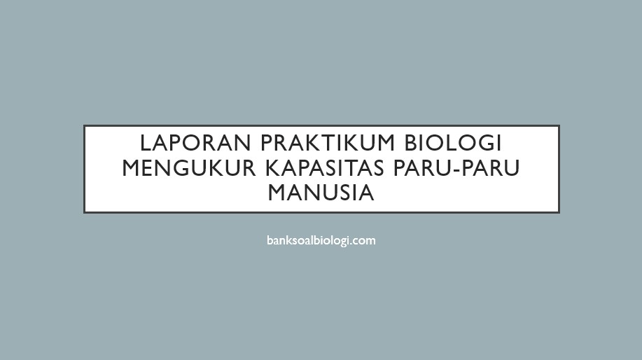 Soal Respirasi Tentang Kapasitas Total Paru Kelas 11 Biologi - Jawaban Guru