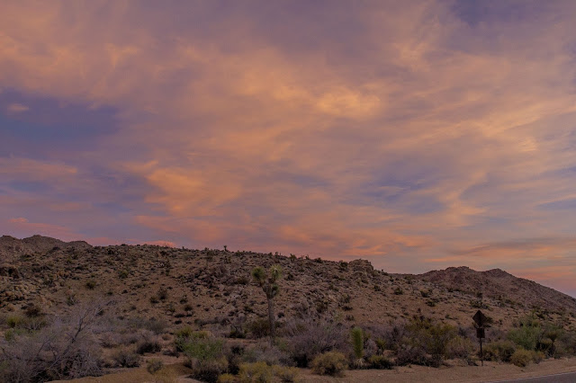 Joshua Tree National Park