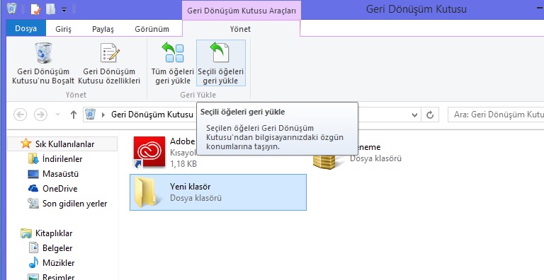 geri donusum kutusu nedir nasil