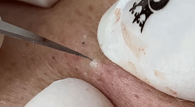 ea362a63ddd887f412ec077d4f6840a222a5d28f