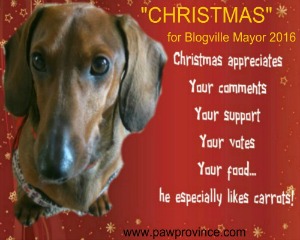 Thanks for your support