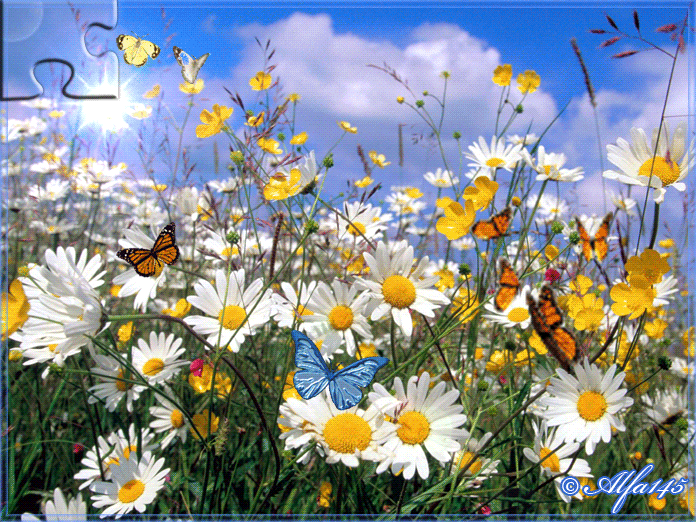 http://1.bp.blogspot.com/-y8x9oUWCk60/UnNVHkjUARI/AAAAAAAAKDo/XH3iWz-jiws/s1600/mariposas.gif