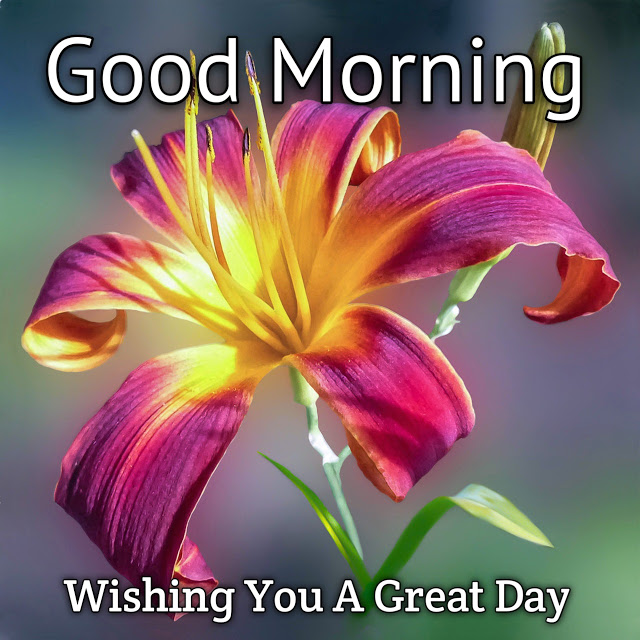 Top 10 Good Morning ji Wishes.Images greeting Pictures,Photos for ...