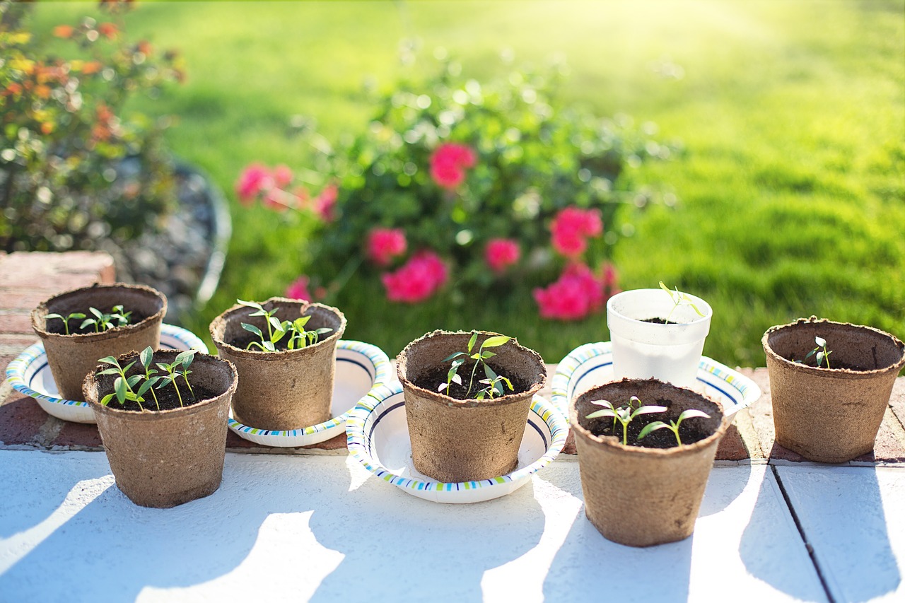 Gardening