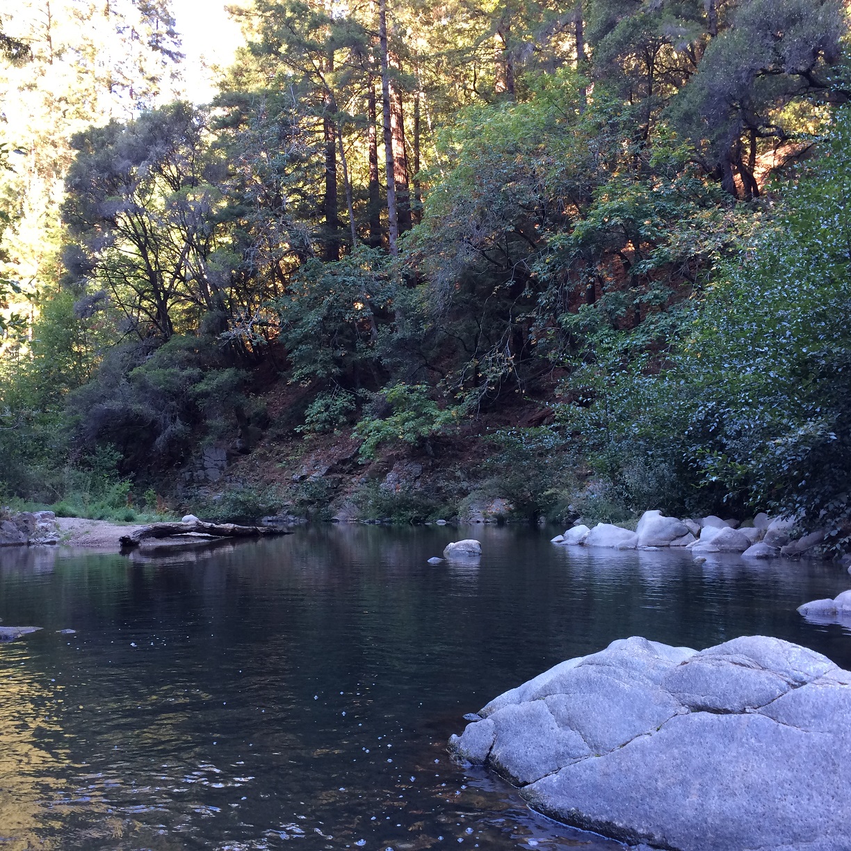 Hiking Garden of Eden, Santa Cruz, United States | Willy's Outdoor