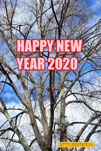200+ Best Happy New Year 2020 Images HD Download
