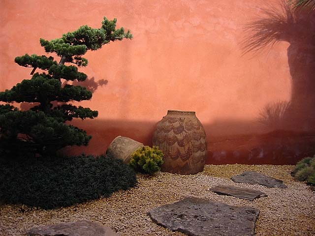 jardinitis: Patio interior de contemplación