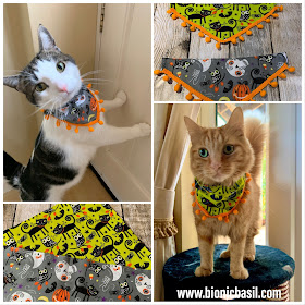 Melvyn and Fudge Modelling The Mini Pumpkin Bandannas -Mandalas on Monday ©BionicBasil® Colouring With Cats #91