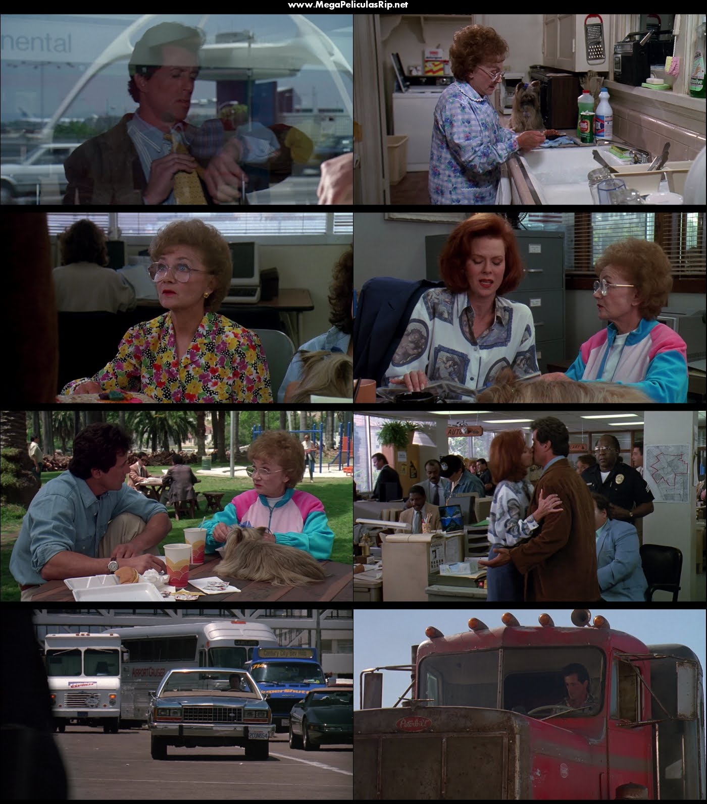 Para O Mi Mama Dispara 1080p Latino