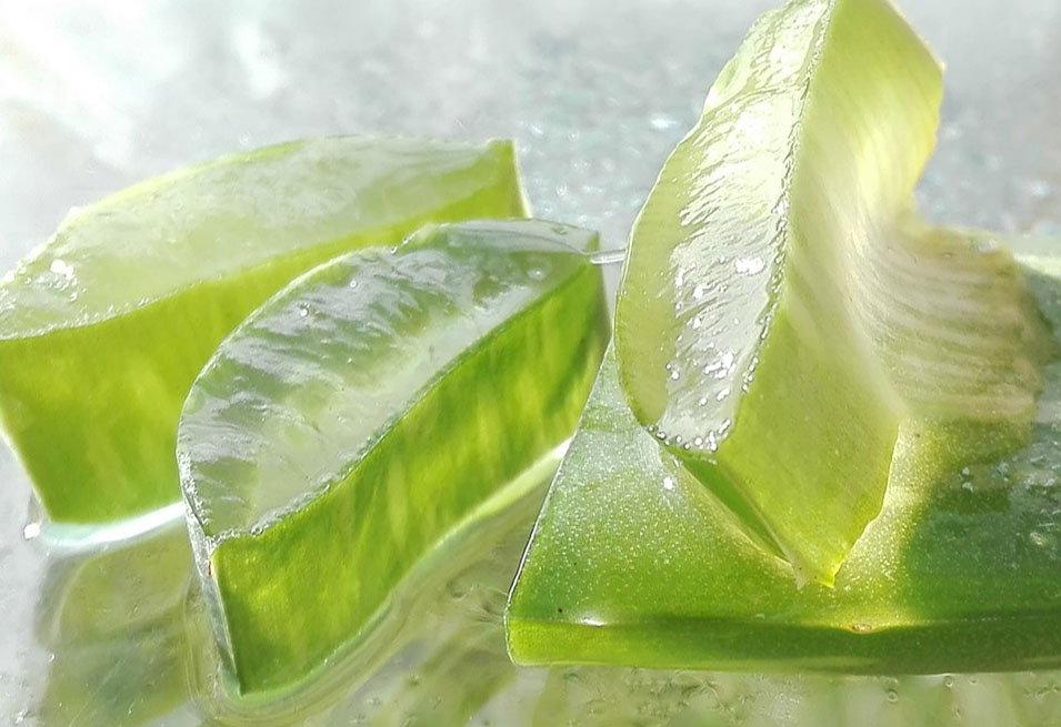 Aloe Vera juice for Medicinal Treatments Aloe Vera juice for Medicinal Treatments