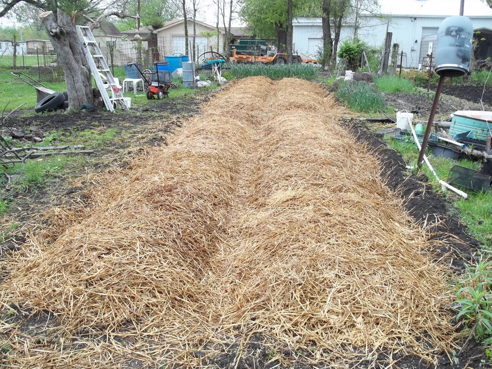 Grateful Garden Mound Row Gardening