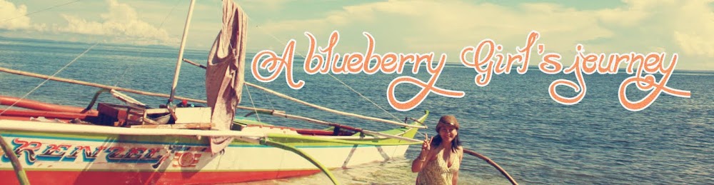 a blueberry girl's journey..