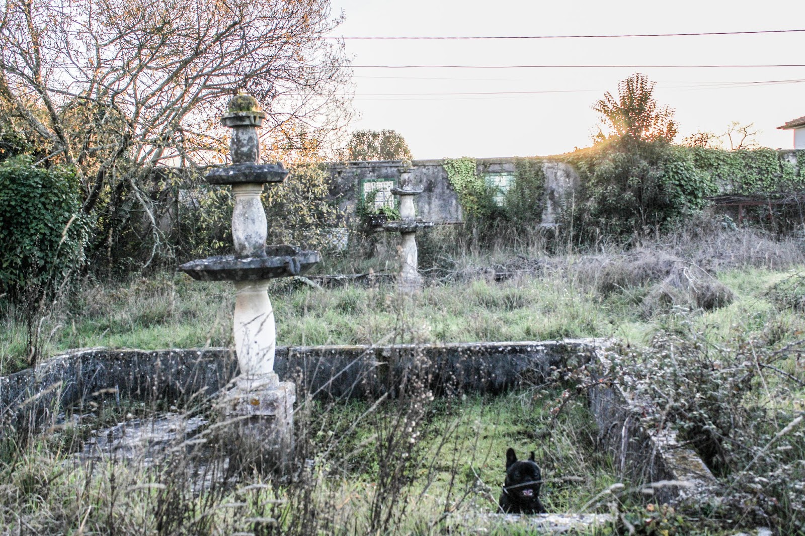 Palácio do Conde de Sucena