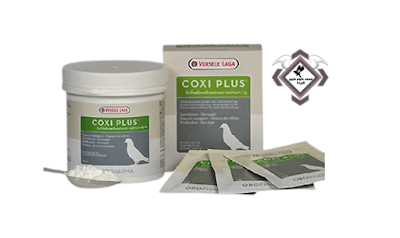 COXI-PLUS  كوكسي بلاس