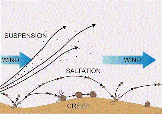 wind transport and saltation