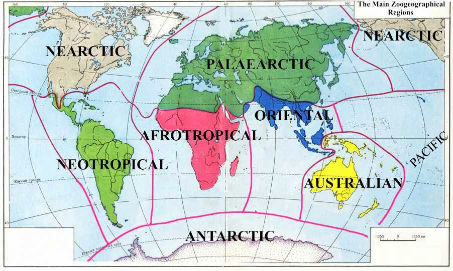 Persebaran Fauna Dunia