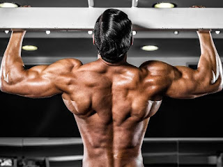 Top 5 Exercises For Building Wide Muscular Back Top 5 Exercises For Building Wide Muscular Back