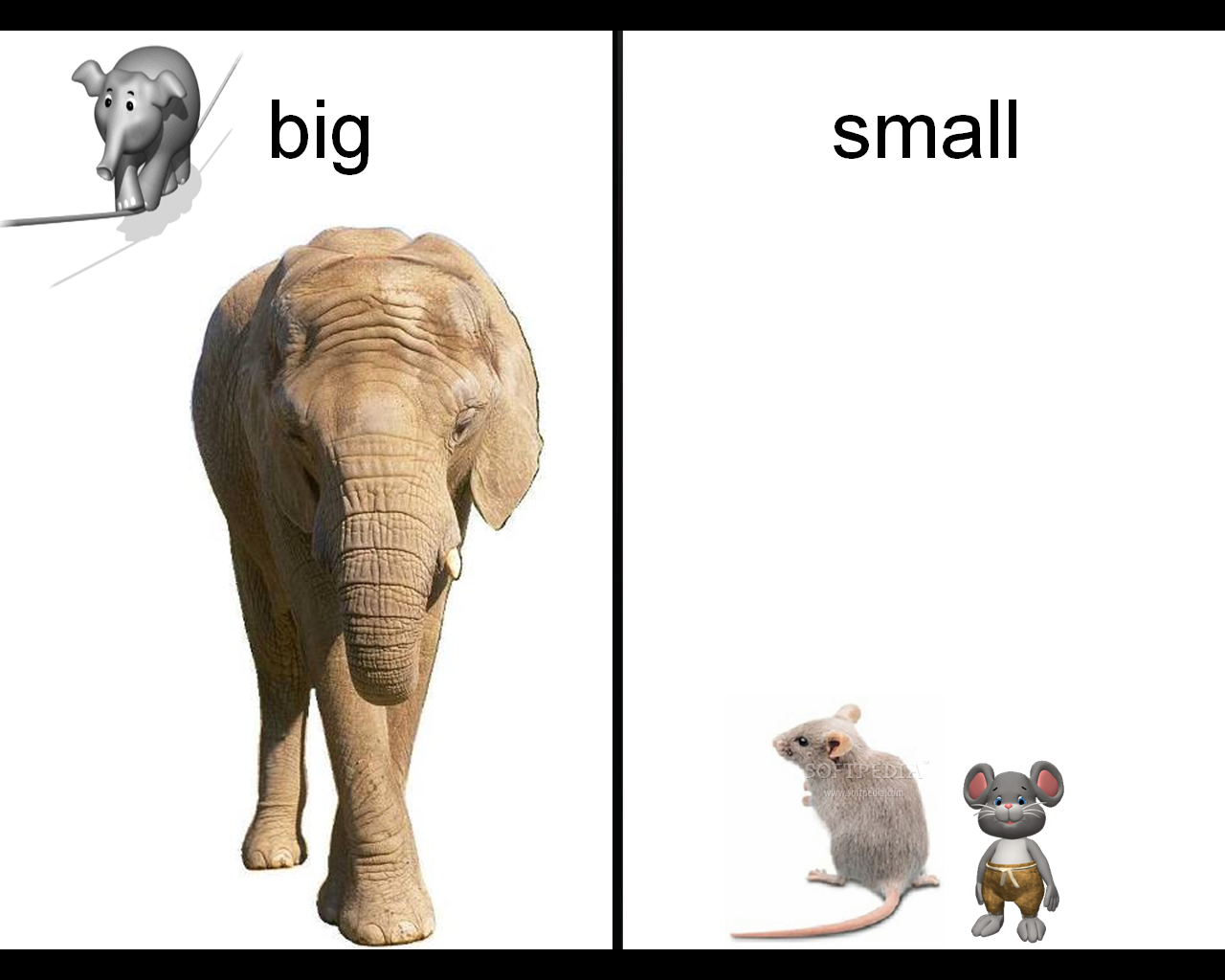 Small big com. Карточки big small. Big small для детей. Животные big and small карточки. Презентация big small.