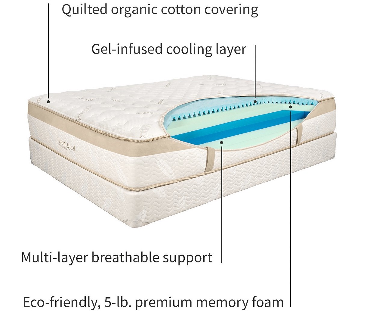 lola's secret beauty blog Shopping for the Perfect EcoFriendly Memory