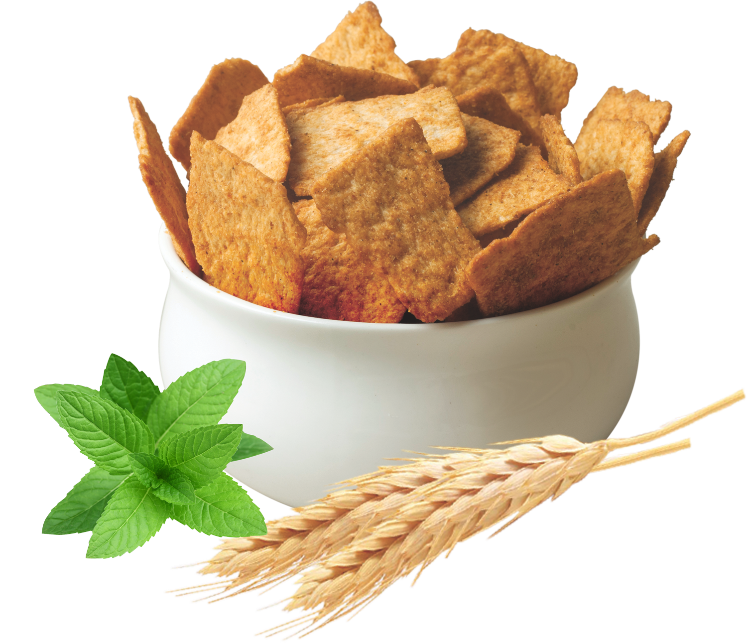 Foodmaniacs Can chips be healthy too ! RiteBite Protein Chips