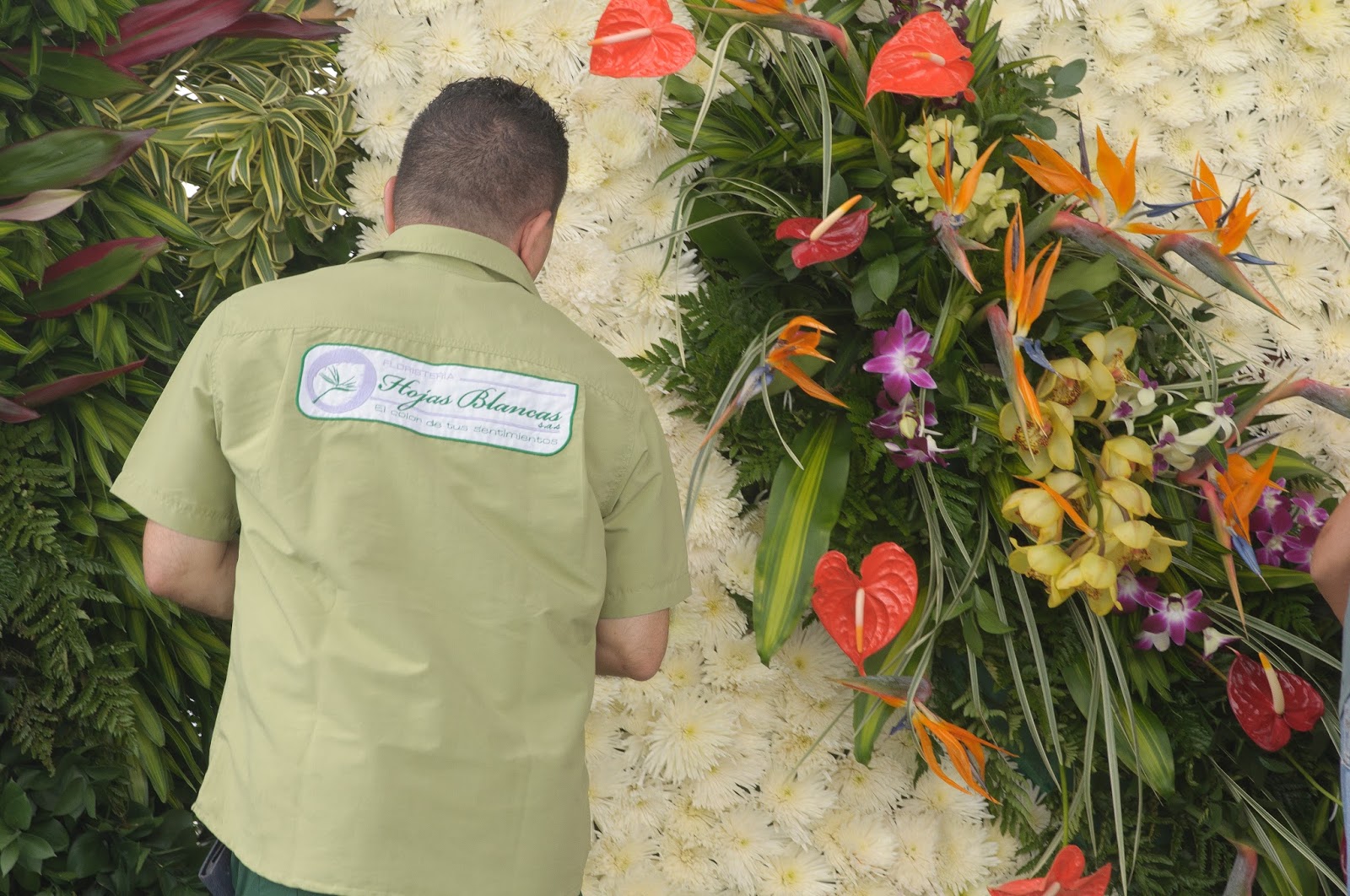 Floristería Hojas Blancas