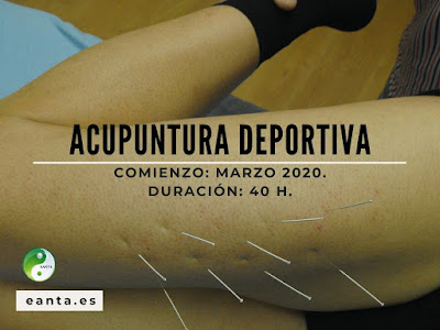 https://www.eanta.es/seminarios-y-talleres/acupuntura-deportiva/