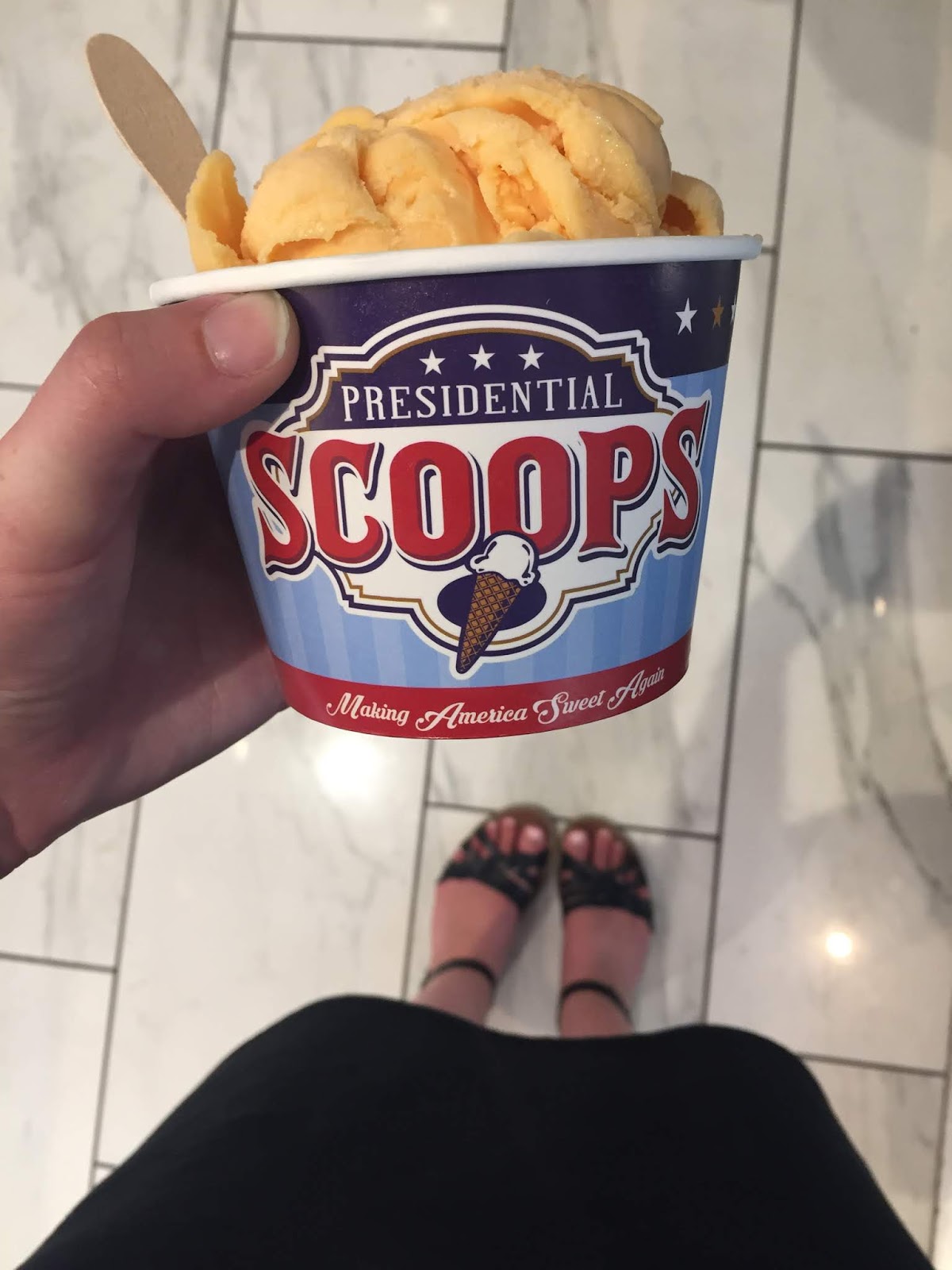 A Week in Washington D.C. MEET THE ROBINS